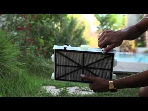 Dolphin Active Smart Met Combiborstels - Afbeelding 3